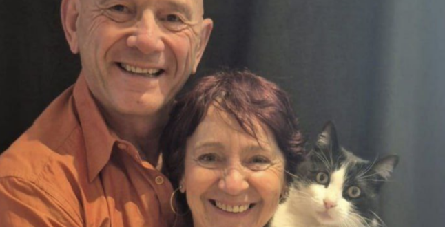 Потерявшийся кот добрался из Испании во Францию и вернулся домой