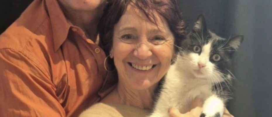 Потерявшийся кот добрался из Испании во Францию и вернулся домой