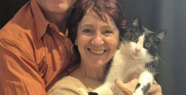 Потерявшийся кот добрался из Испании во Францию и вернулся домой