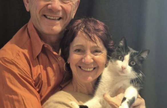 Потерявшийся кот добрался из Испании во Францию и вернулся домой