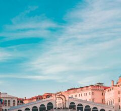 Венецию захватывают опасные медузы