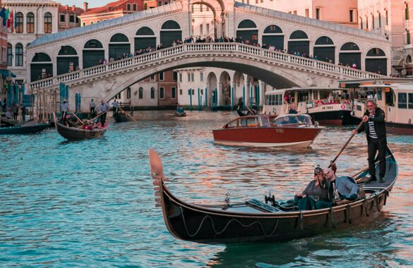 Венецию захватывают опасные медузы