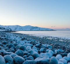 Туристы застряли в Териберке из-за снегопада Туристы застряли в Териберке из-за снегопада