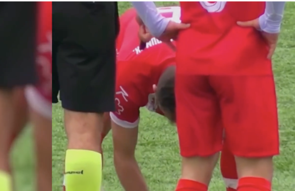 Турецкий футболист спас чайку, сделав ей массаж сердца