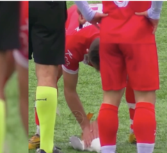 Турецкий футболист спас чайку, сделав ей массаж сердца