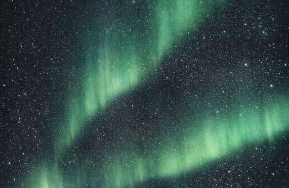 В московском ресторане пройдет День Чукотки