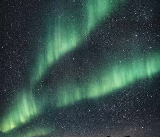 В московском ресторане пройдет День Чукотки