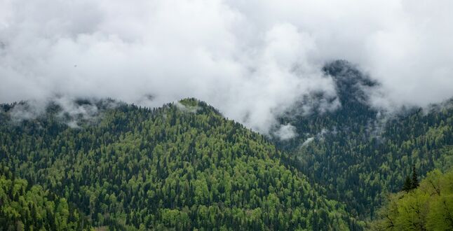 Эксперты рассказали, сколько стоит отдых в Абхазии