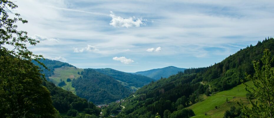  В Германии запускают эксперимент: деревни станут отелями