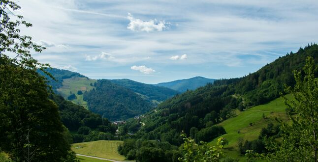  В Германии запускают эксперимент: деревни станут отелями