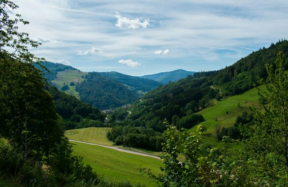  В Германии запускают эксперимент: деревни станут отелями
