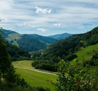  В Германии запускают эксперимент: деревни станут отелями