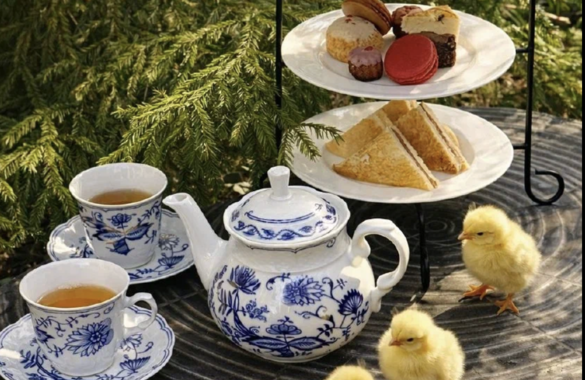 В отеле WE LODGE пройдет английское чаепитие