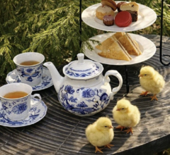 В отеле WE LODGE пройдет английское чаепитие В отеле WE LODGE пройдет английское чаепитие