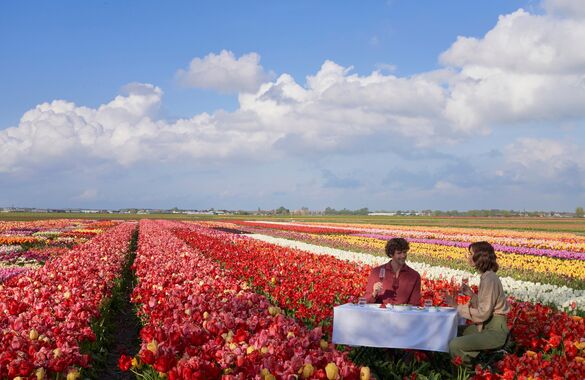 ANANTARA GRAND HOTEL KRASNAPOLSKY AMSTERDAM предлагает полюбоваться тюльпанами