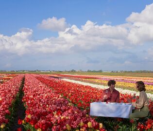 ANANTARA GRAND HOTEL KRASNAPOLSKY AMSTERDAM предлагает полюбоваться тюльпанами