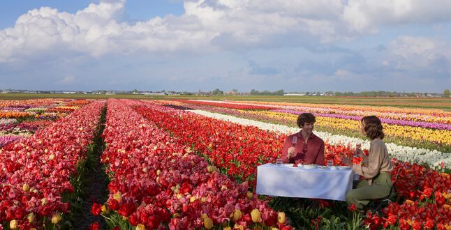 ANANTARA GRAND HOTEL KRASNAPOLSKY AMSTERDAM предлагает полюбоваться тюльпанами
