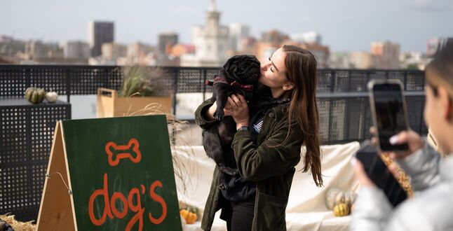 Бутик-отель «39» приглашает на ежегодную Dog’s Party