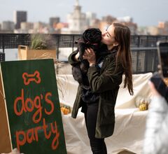 Бутик-отель «39» приглашает на ежегодную Dog’s Party