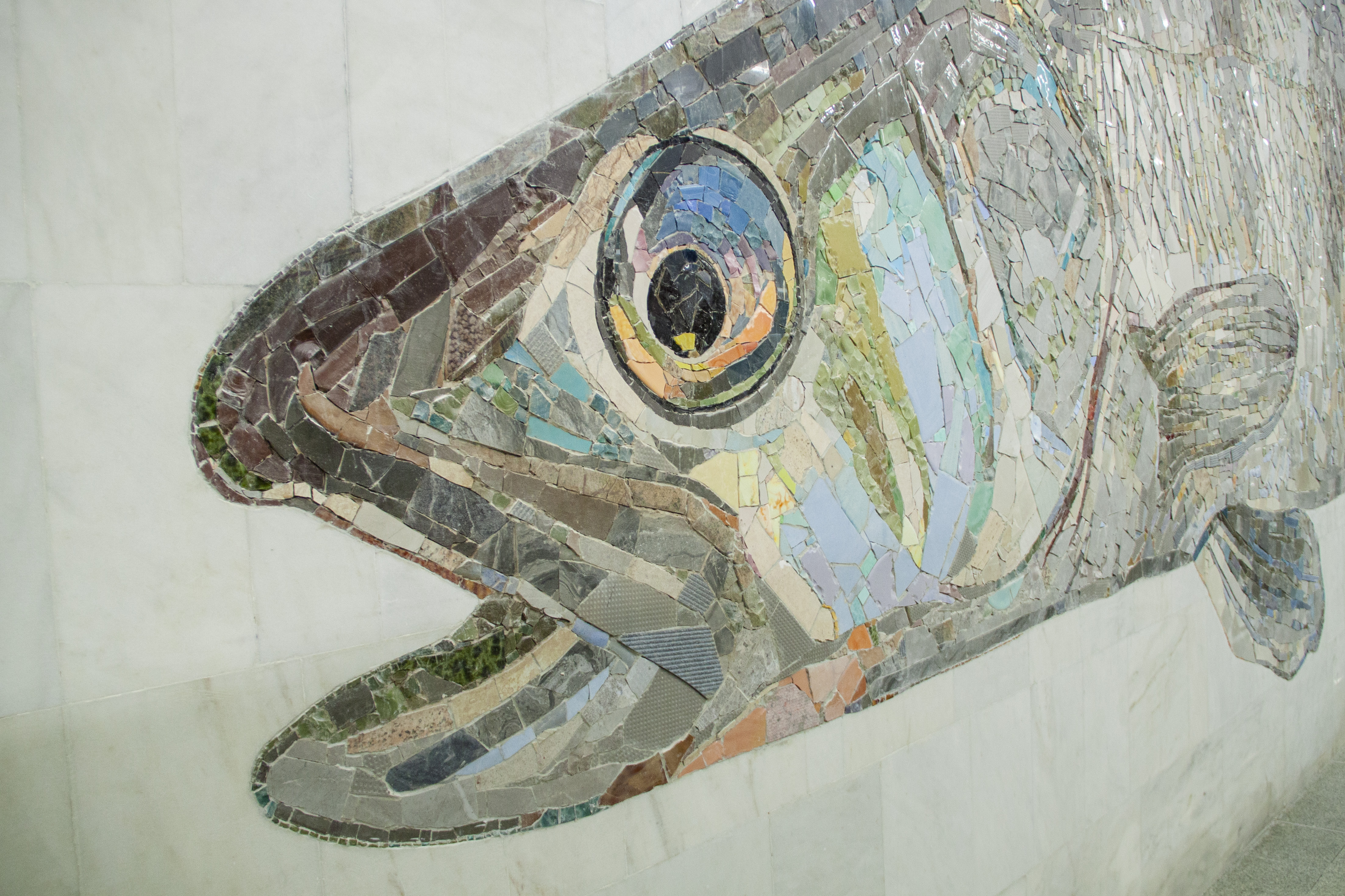 На какой станции БКЛ можно увидеть изображения огромных рыб?